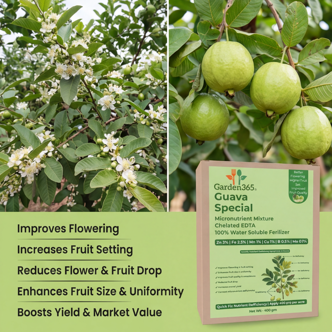 Guava Special Micronutrient Fertilizer  (अमरूद | ಸೀಬೆಹಣ್ಣು | జామ | கொய்யாப்பழம் | പേരയ്ക്ക)  EDTA Chelated 100% Water Soluble Fertilizer – 400g per Acre