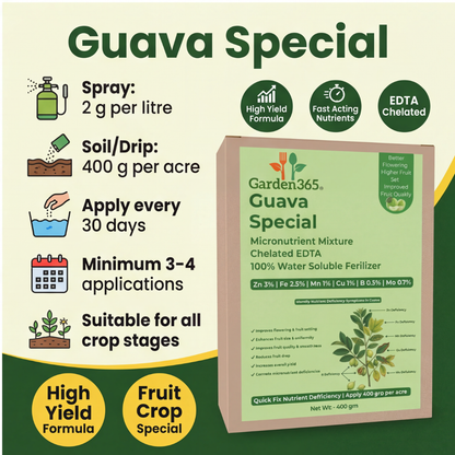 Guava Special Micronutrient Fertilizer  (अमरूद | ಸೀಬೆಹಣ್ಣು | జామ | கொய்யாப்பழம் | പേരയ്ക്ക)  EDTA Chelated 100% Water Soluble Fertilizer – 400g per Acre