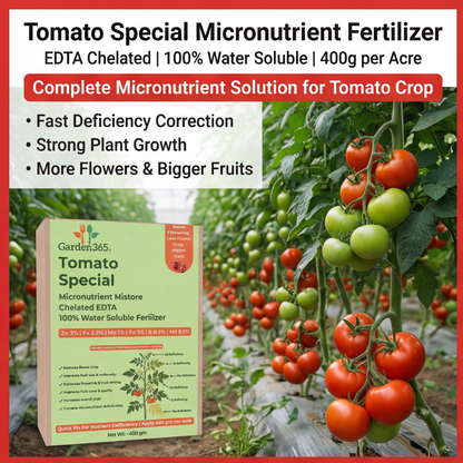 Tomato Special Micronutrient Fertilizer  (टमाटर | ಟೊಮೇಟೊ | టమాటా | தக்காளி | തക്കാളി)  EDTA Chelated 100% Water Soluble Fertilizer – 400g per Acre