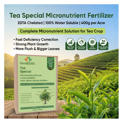 Tea Special Micronutrient Fertilizer  (चाय | ಚಹಾ | టీ | தேயிலை | ചായ)  EDTA Chelated 100% Water Soluble Fertilizer – 400g per Acre