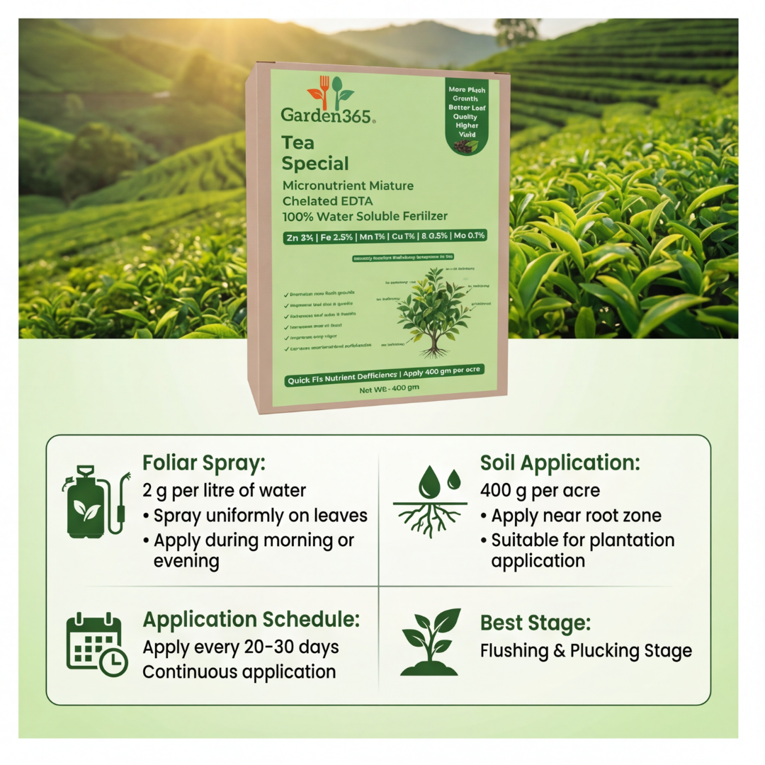 Tea Special Micronutrient Fertilizer  (चाय | ಚಹಾ | టీ | தேயிலை | ചായ)  EDTA Chelated 100% Water Soluble Fertilizer – 400g per Acre