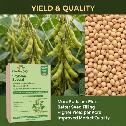 Soybean Special Micronutrient Fertilizer  (सोयाबीन | ಸೋಯಾಬೀನ್ | సోయాబీన్ | சோயாபீன் | സോയാബീൻ)  EDTA Chelated 100% Water Soluble Fertilizer – 400g per Acre