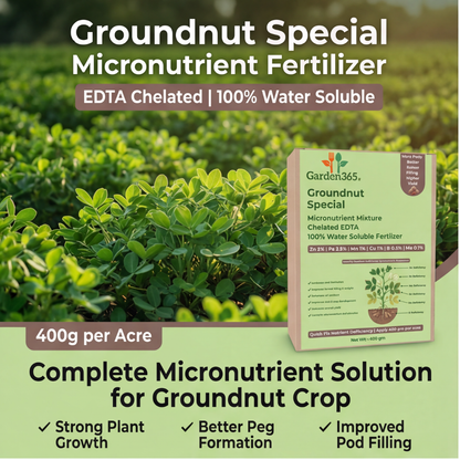 Groundnut Special Micronutrient Fertilizer  (मूंगफली | ಕಡಲೆಕಾಯಿ | వేరుసెనగ | நிலக்கடலை | നിലക്കടല)  EDTA Chelated 100% Water Soluble Fertilizer – 400g per Acre