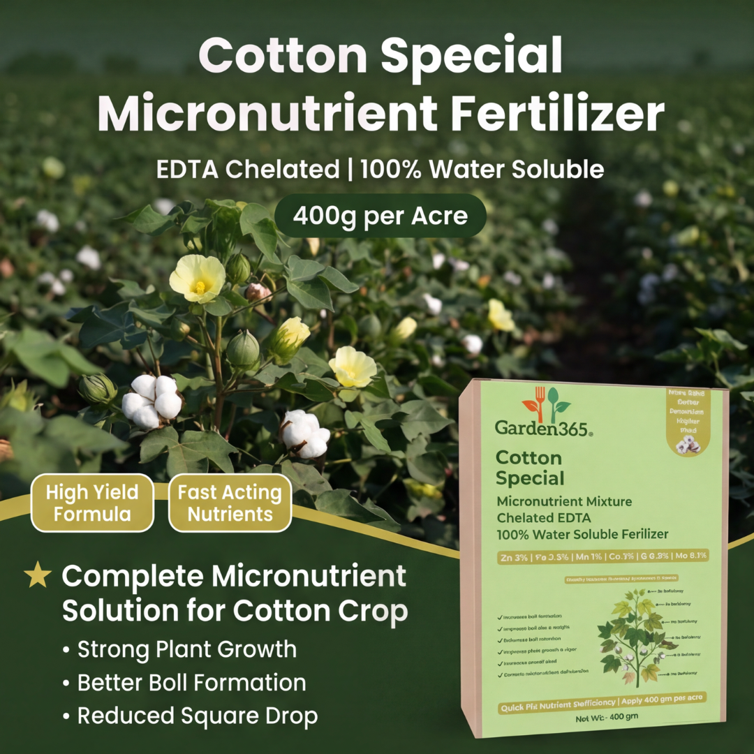 Cotton Special Micronutrient Fertilizer  (कपास | ಹತ್ತಿ | పత్తి | பருத்தி | പരുത്തി)  EDTA Chelated 100% Water Soluble Fertilizer – 400g per Acre