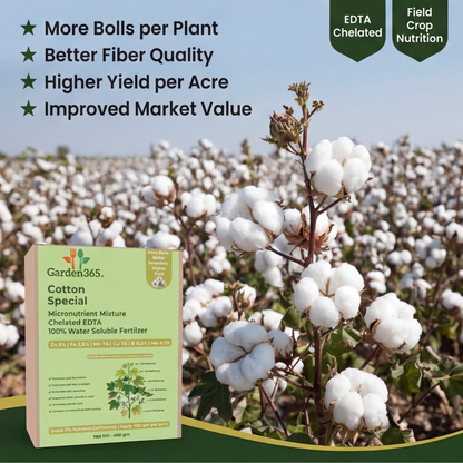 Cotton Special Micronutrient Fertilizer  (कपास | ಹತ್ತಿ | పత్తి | பருத்தி | പരുത്തി)  EDTA Chelated 100% Water Soluble Fertilizer – 400g per Acre