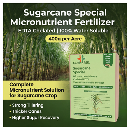 Sugarcane Special Micronutrient Fertilizer  (गन्ना | ಕಬ್ಬು | చెరకు | கரும்பு | കരിമ്പ്)  EDTA Chelated 100% Water Soluble Fertilizer – 400g per Acre