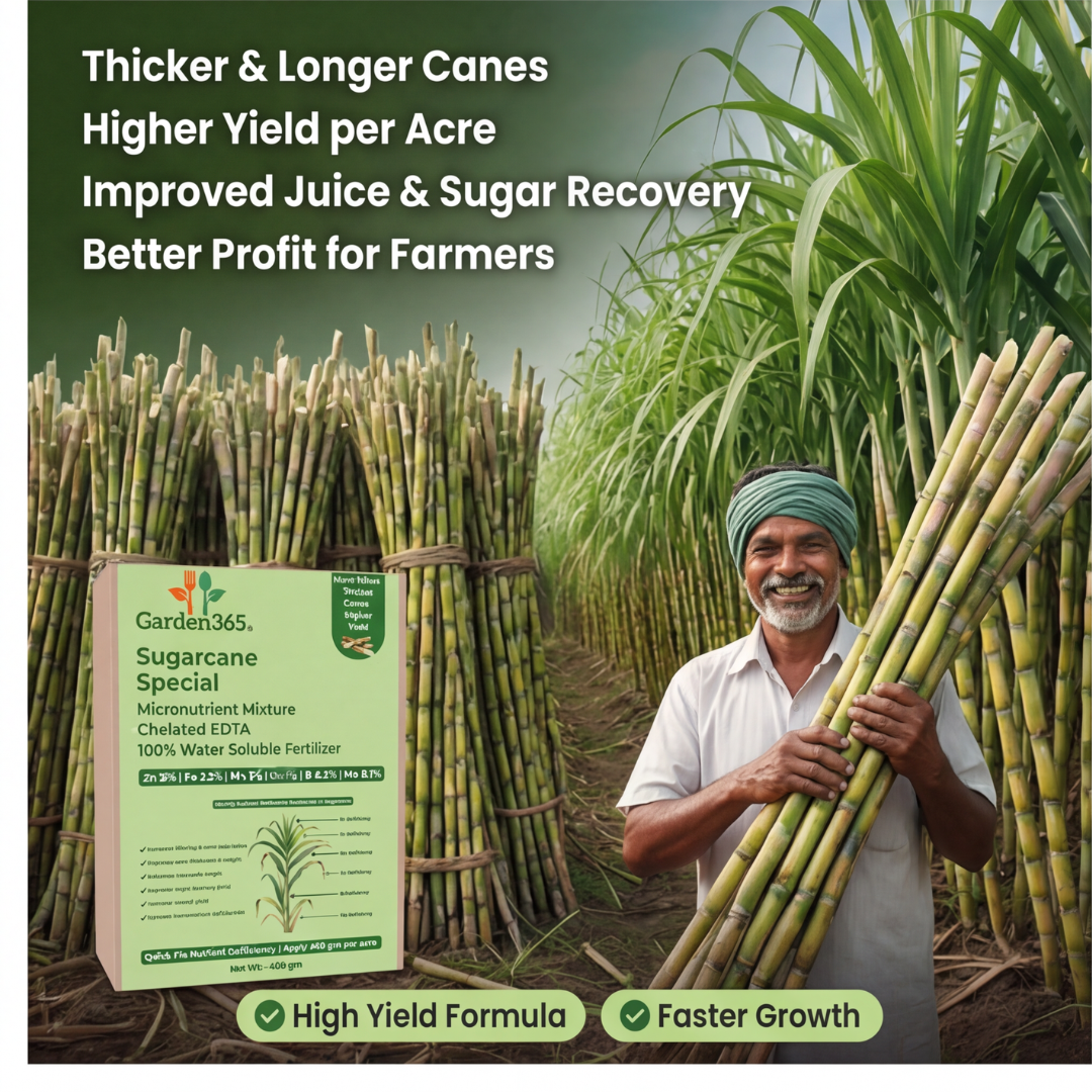 Sugarcane Special Micronutrient Fertilizer  (गन्ना | ಕಬ್ಬು | చెరకు | கரும்பு | കരിമ്പ്)  EDTA Chelated 100% Water Soluble Fertilizer – 400g per Acre