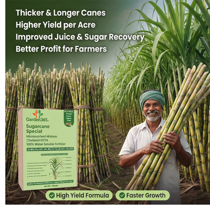 Sugarcane Special Micronutrient Fertilizer  (गन्ना | ಕಬ್ಬು | చెరకు | கரும்பு | കരിമ്പ്)  EDTA Chelated 100% Water Soluble Fertilizer – 400g per Acre