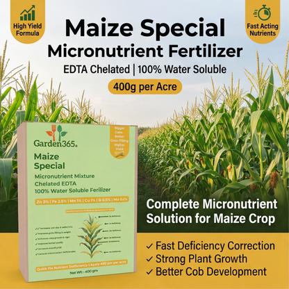 Maize Special Micronutrient Fertilizer  (मक्का | ಮೆಕ್ಕೆಜೋಳ | మొక్కజొన్న | மக்காச்சோளம் | മക്കച്ചോളം)  EDTA Chelated 100% Water Soluble Fertilizer – 400g per Acre