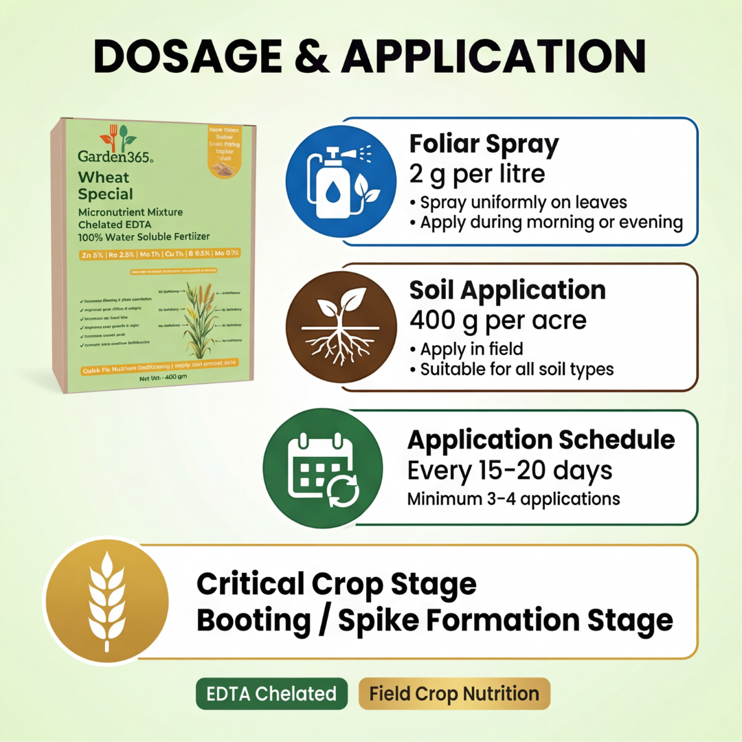 Wheat Special Micronutrient Fertilizer  (गेहूं | ಗೋಧಿ | గోధుమ | கோதுமை | ഗോതമ്പ്)  EDTA Chelated 100% Water Soluble Fertilizer – 400g per Acre