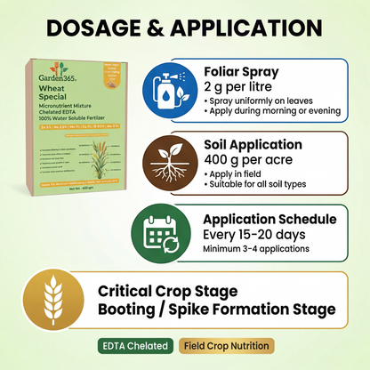 Wheat Special Micronutrient Fertilizer  (गेहूं | ಗೋಧಿ | గోధుమ | கோதுமை | ഗോതമ്പ്)  EDTA Chelated 100% Water Soluble Fertilizer – 400g per Acre