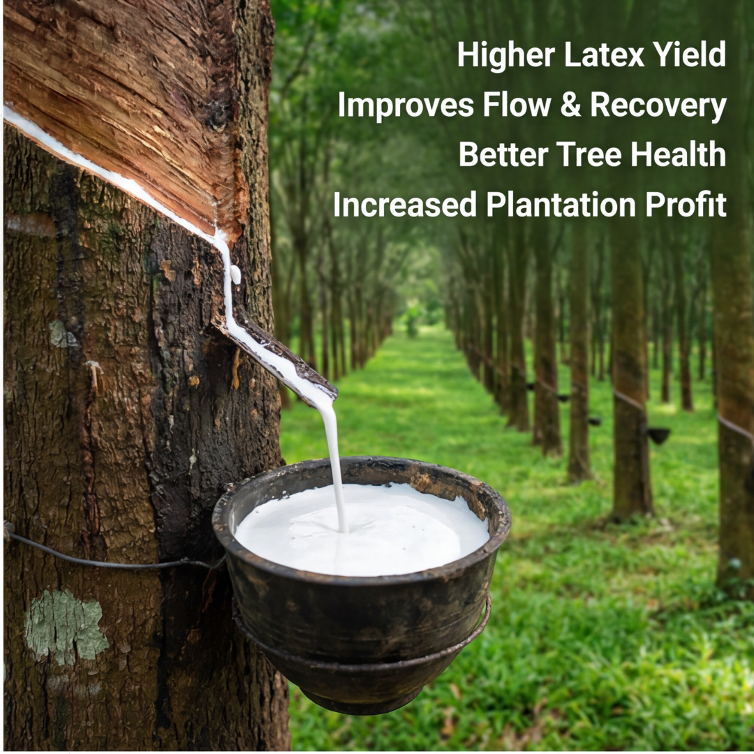 Rubber Special Micronutrient Fertilizer  (रबर | ರಬ್ಬರ್ | రబ్బరు | ரப்பர் | റബ്ബർ)  EDTA Chelated 100% Water Soluble Fertilizer – 400g per Acre