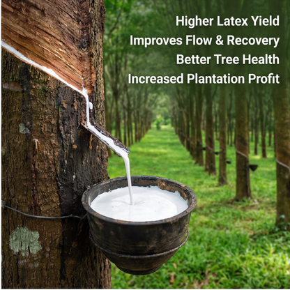 Rubber Special Micronutrient Fertilizer  (रबर | ರಬ್ಬರ್ | రబ్బరు | ரப்பர் | റബ്ബർ)  EDTA Chelated 100% Water Soluble Fertilizer – 400g per Acre