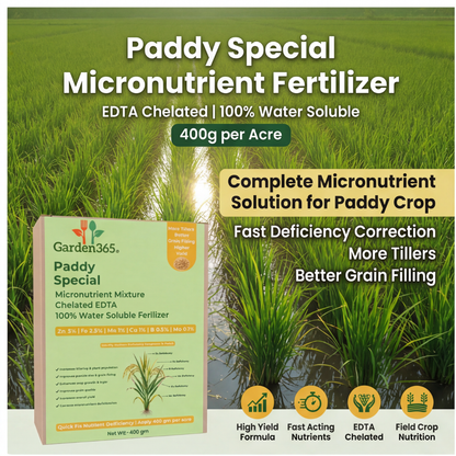 Paddy Special Micronutrient Fertilizer  (धान | ಅಕ್ಕಿ | వరి | நெல் | നെല്)  EDTA Chelated 100% Water Soluble Fertilizer – 400g per Acre