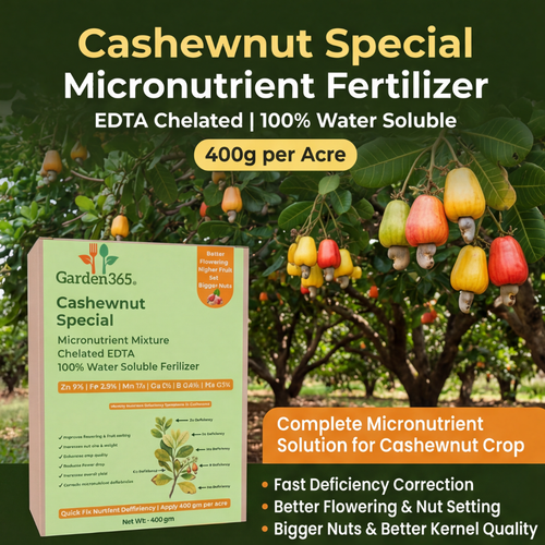 Cashewnut Special Micronutrient Fertilizer  (काजू | ಗೋಡಂಬಿ | జీడిపప్పు | முந்திரி | കശുവണ്ടി)  EDTA Chelated 100% Water Soluble Fertilizer – 400g per Acre
