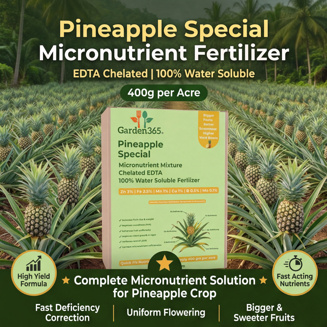 Pineapple Special Micronutrient Fertilizer  (अनानास | ಅನಾನಸ್ | అనాసపండు | அன்னாசி | അനാനാസ്)  EDTA Chelated 100% Water Soluble Fertilizer – 400g per Acre