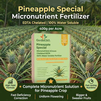 Pineapple Special Micronutrient Fertilizer  (अनानास | ಅನಾನಸ್ | అనాసపండు | அன்னாசி | അനാനാസ്)  EDTA Chelated 100% Water Soluble Fertilizer – 400g per Acre