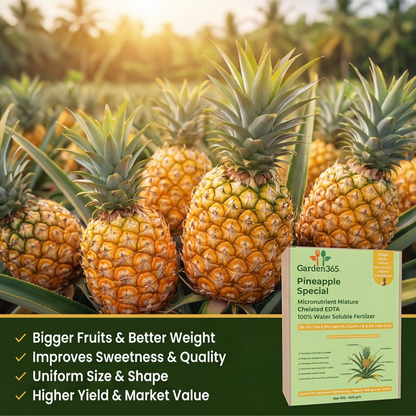 Pineapple Special Micronutrient Fertilizer  (अनानास | ಅನಾನಸ್ | అనాసపండు | அன்னாசி | അനാനാസ്)  EDTA Chelated 100% Water Soluble Fertilizer – 400g per Acre