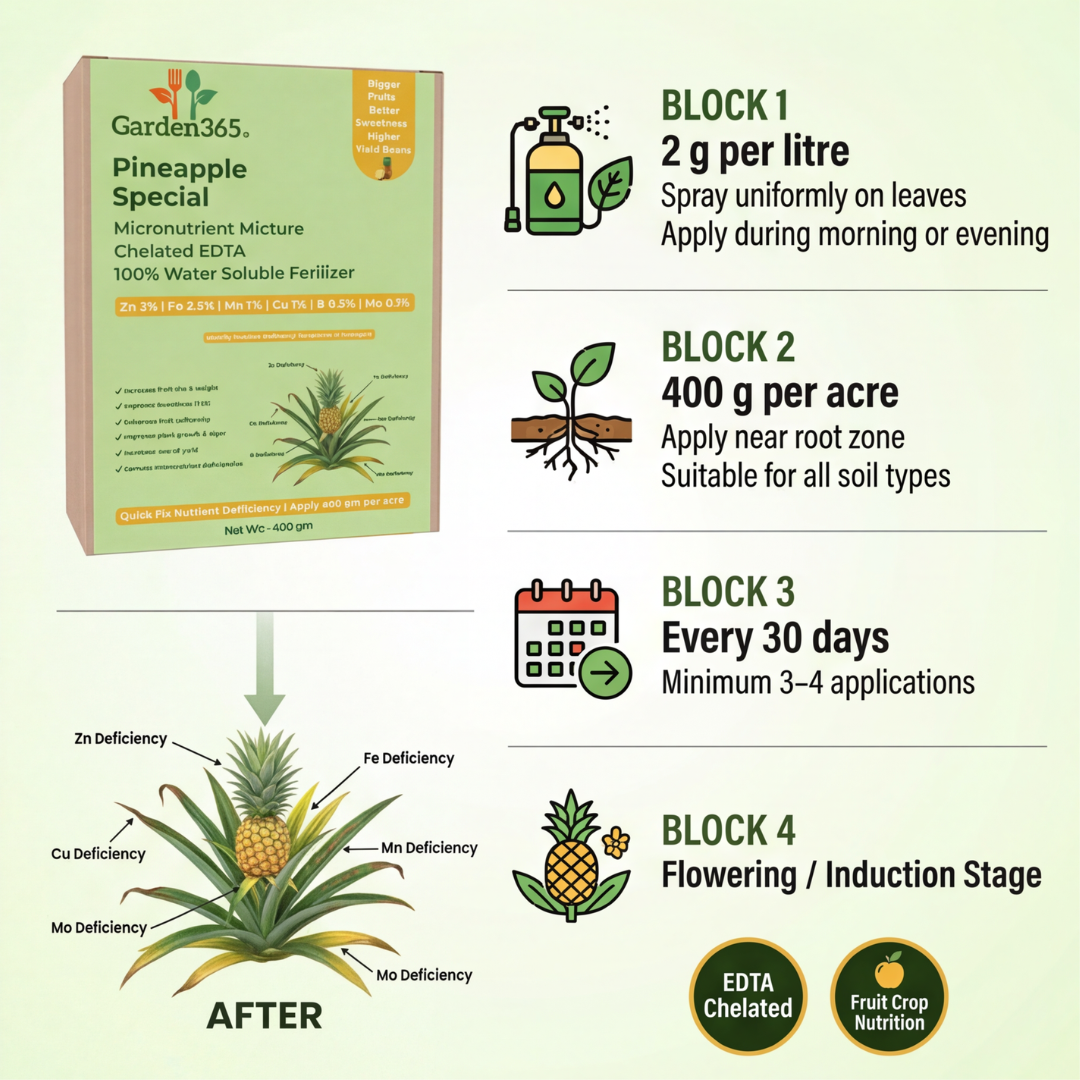 Pineapple Special Micronutrient Fertilizer  (अनानास | ಅನಾನಸ್ | అనాసపండు | அன்னாசி | അനാനാസ്)  EDTA Chelated 100% Water Soluble Fertilizer – 400g per Acre