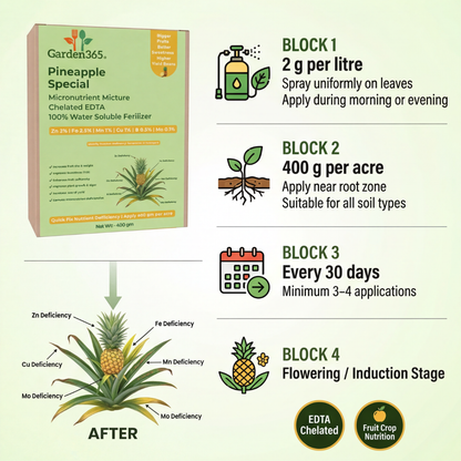 Pineapple Special Micronutrient Fertilizer  (अनानास | ಅನಾನಸ್ | అనాసపండు | அன்னாசி | അനാനാസ്)  EDTA Chelated 100% Water Soluble Fertilizer – 400g per Acre