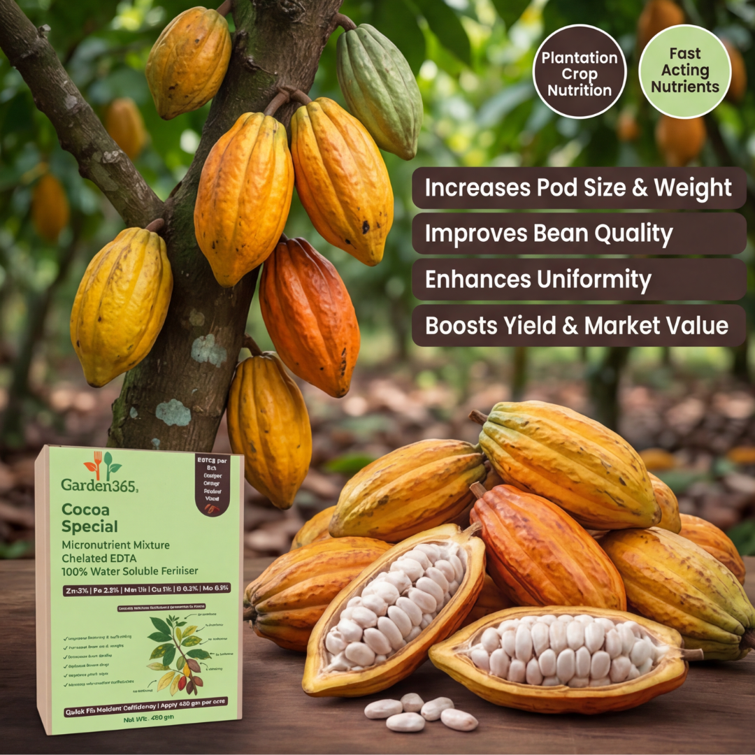 Cocoa Special Micronutrient Fertilizer  (कोको | ಕೋಕೋ | కోకో | கோகோ | കോകോ)  EDTA Chelated 100% Water Soluble Fertilizer – 400g per Acre