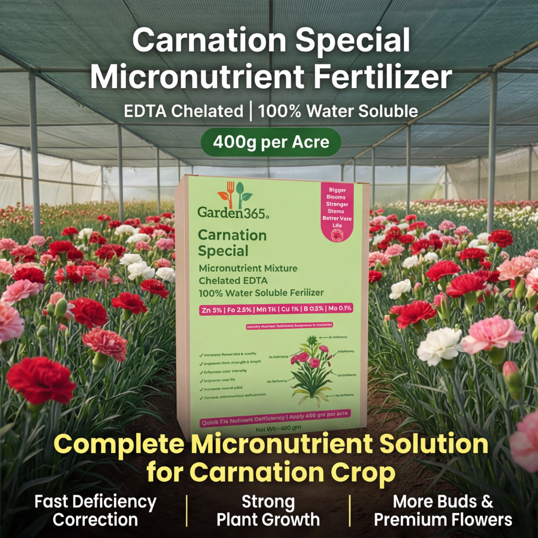 Carnation Special Micronutrient Fertilizer  (कार्नेशन | ಕಾರ್ನೇಶನ್ | కార్నేషన్ | கார்னேஷன் | കാർനേഷൻ)  EDTA Chelated 100% Water Soluble Fertilizer – 400g per Acre