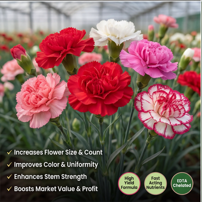 Carnation Special Micronutrient Fertilizer  (कार्नेशन | ಕಾರ್ನೇಶನ್ | కార్నేషన్ | கார்னேஷன் | കാർനേഷൻ)  EDTA Chelated 100% Water Soluble Fertilizer – 400g per Acre
