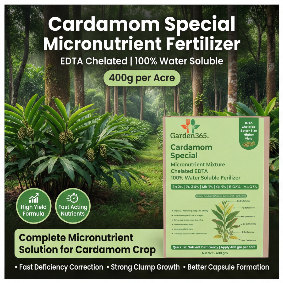 Cardamom Special Micronutrient Fertilizer  (इलायची | ಏಲಕ್ಕಿ | యాలకులు | ஏலக்காய் | ഏലക്ക)  EDTA Chelated 100% Water Soluble Fertilizer – 400g per Acre