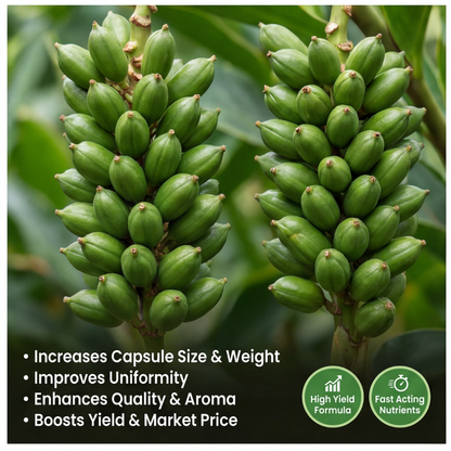 Cardamom Special Micronutrient Fertilizer  (इलायची | ಏಲಕ್ಕಿ | యాలకులు | ஏலக்காய் | ഏലക്ക)  EDTA Chelated 100% Water Soluble Fertilizer – 400g per Acre