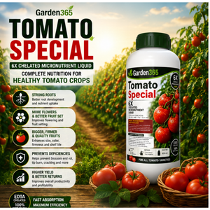 Tomato Special – 6X Chelated Micronutrient Liquid with EDTA Chelated Zn + Fe + Mn + Cu + B + Mo for Strong Growth, Better Flowering, Improved Fruit Set, Higher Yield & Quality