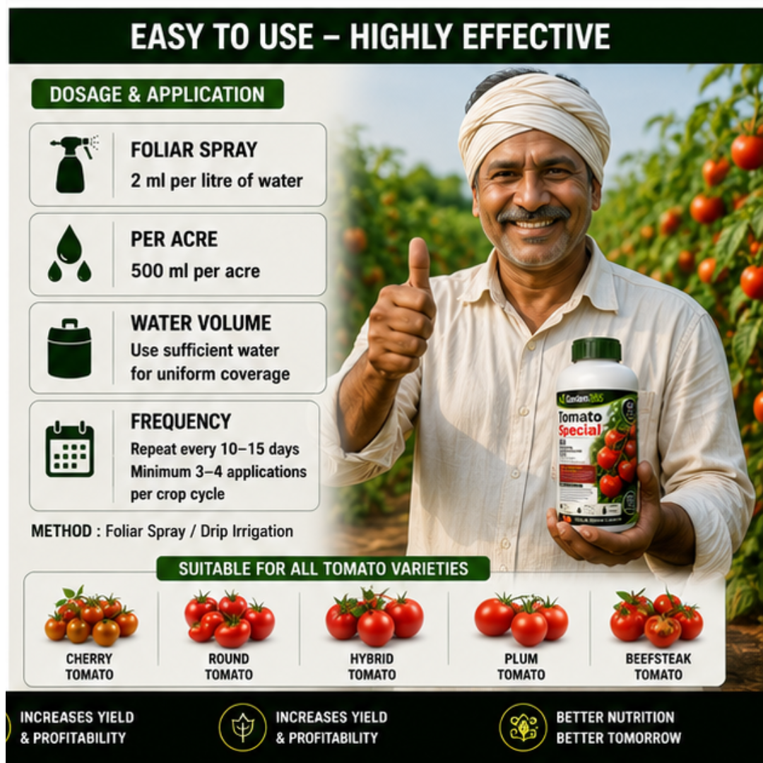 Tomato Special – 6X Chelated Micronutrient Liquid with EDTA Chelated Zn + Fe + Mn + Cu + B + Mo for Strong Growth, Better Flowering, Improved Fruit Set, Higher Yield & Quality