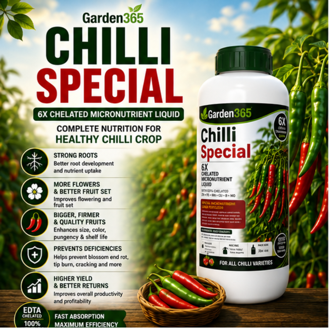 Chilli Special – 6X Chelated Micronutrient Liquid with EDTA Chelated Zn + Fe + Mn + Cu + B + Mo for Vigorous Growth, Better Flowering, Higher Fruit Set, Improved Pungency, Yield & Quality