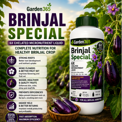 Brinjal Special – 6X Chelated Micronutrient Liquid with EDTA Chelated Zn + Fe + Mn + Cu + B + Mo for Vigorous Growth, Better Flowering, Improved Fruit Set, Enhanced Shine, Higher Yield & Quality