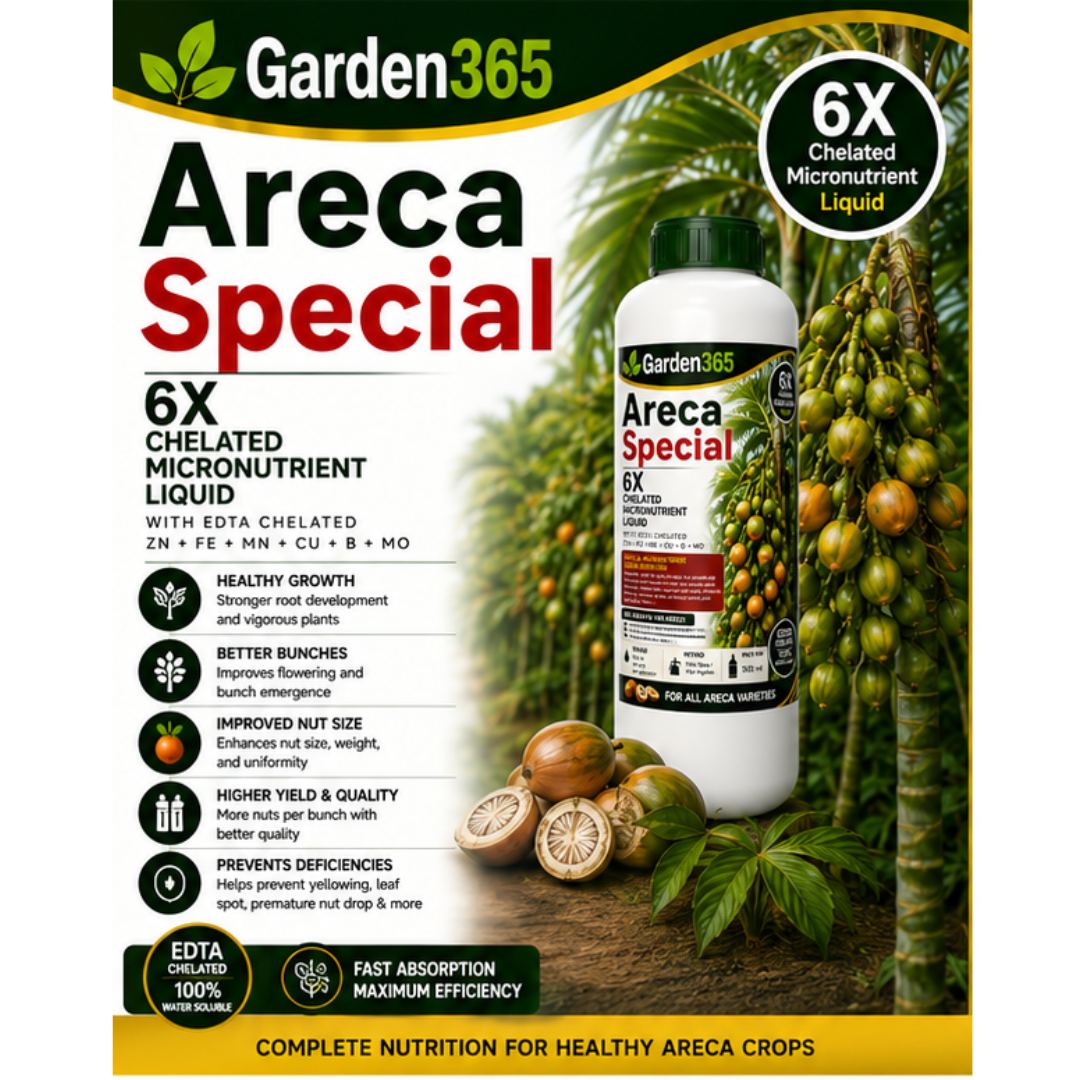 Areca Special – 6X Chelated Micronutrient Liquid with EDTA Chelated Zn + Fe + Mn + Cu + B + Mo for Healthy Growth, Better Bunch Development, Improved Nut Size, Higher Yield & Quality