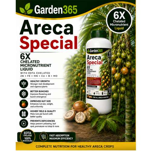 Areca Special – 6X Chelated Micronutrient Liquid with EDTA Chelated Zn + Fe + Mn + Cu + B + Mo for Healthy Growth, Better Bunch Development, Improved Nut Size, Higher Yield & Quality