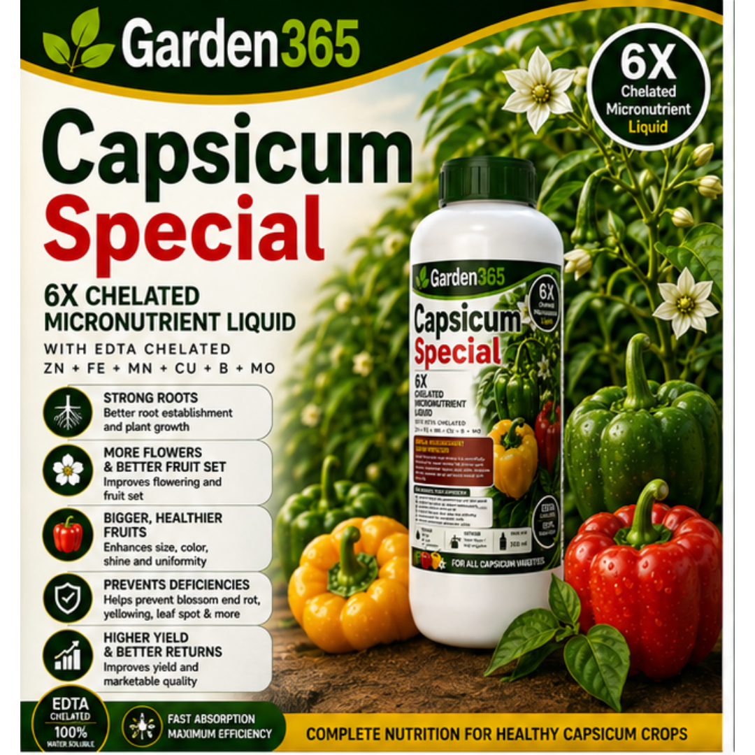 Capsicum Special – 6X Chelated Micronutrient Liquid with EDTA Chelated Zn + Fe + Mn + Cu + B + Mo for Vigorous Growth, Better Flowering, Improved Fruit Set, Enhanced Fruit Quality, Higher Yield & Marketability