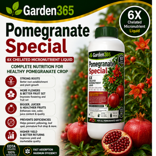 Pomegranate Special – 6X Chelated Micronutrient Liquid with EDTA Chelated Zn + Fe + Mn + Cu + B + Mo for Vigorous Growth, Better Flowering, Improved Fruit Set, Enhanced Fruit Size, Color, Juice Content, Higher Yield & Marketability