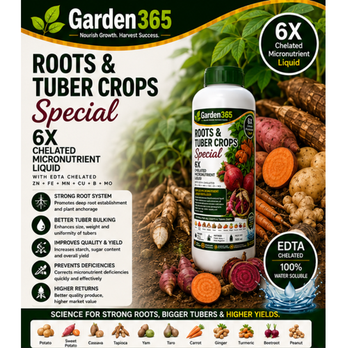 Roots & Tuber Crops Special – 6X Chelated Micronutrient Liquid with EDTA Chelated Zn + Fe + Mn + Cu + B + Mo for Strong Root Development, Bigger Tubers, Better Quality & Higher Yield