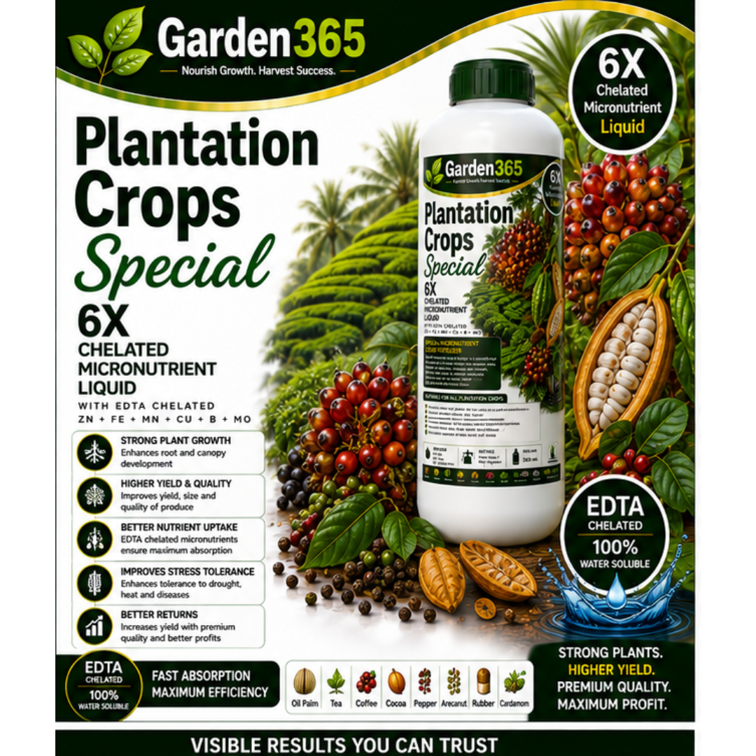 Plantation Crops Special – 6X Chelated Micronutrient Liquid with EDTA Chelated Zn + Fe + Mn + Cu + B + Mo for Better Growth, Flowering, Fruit Set, Yield & Premium Quality Plantation Crops