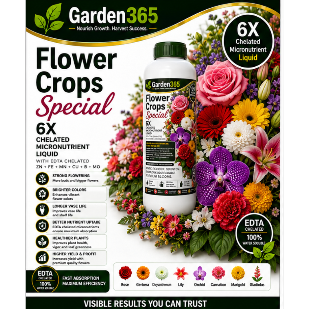 Flower Crops Special – 6X Chelated Micronutrient Liquid with EDTA Chelated Zn + Fe + Mn + Cu + B + Mo for Profuse Flowering, Bigger Blooms, Better Color & Higher Yield
