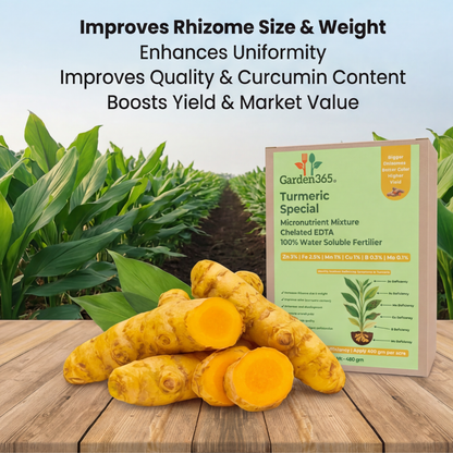Turmeric Special Micronutrient Fertilizer  (हल्दी | ಅರಿಶಿನ | పసుపు | மஞ்சள் | മഞ്ഞൾ)  EDTA Chelated 100% Water Soluble Fertilizer – 400g per Acre