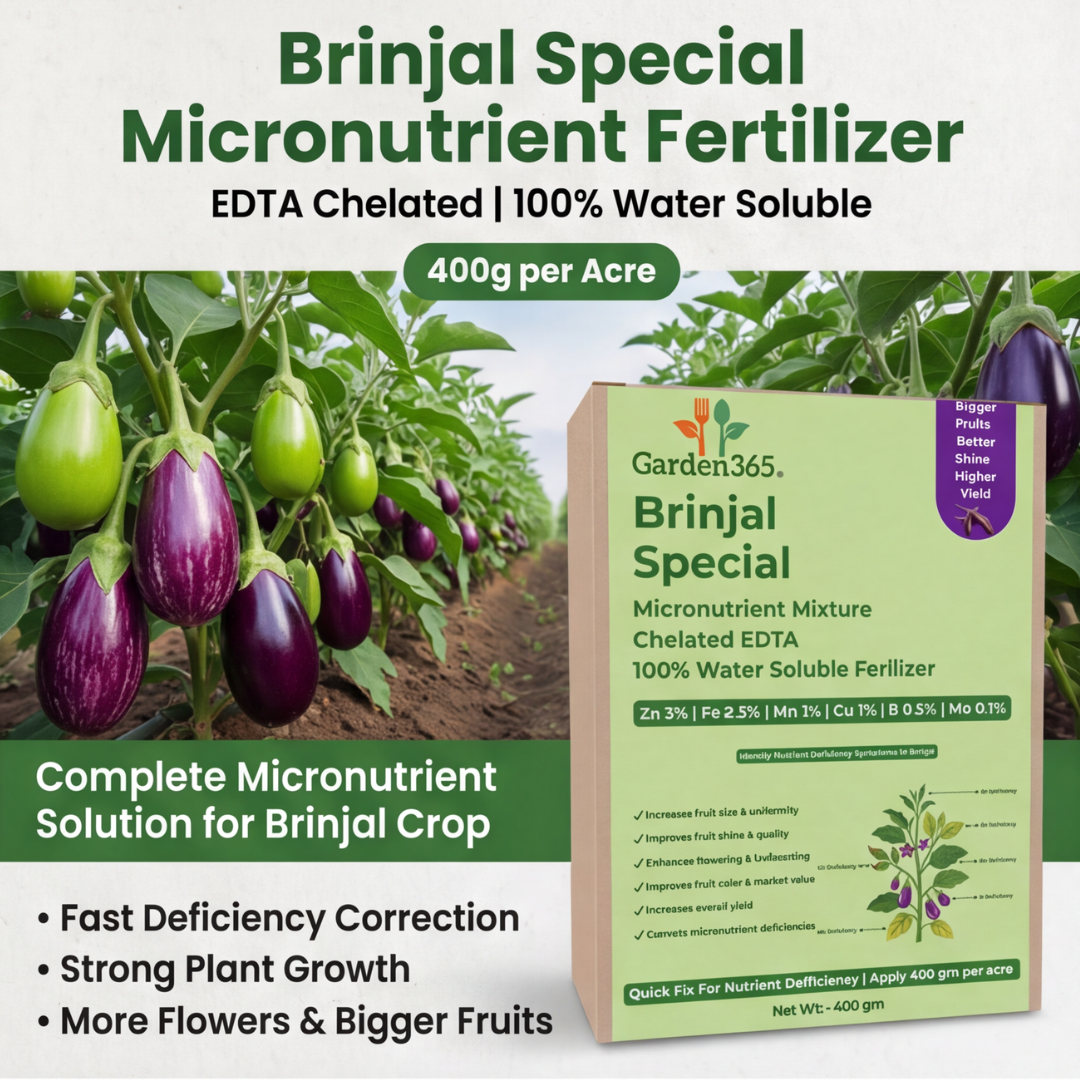 Brinjal Special Micronutrient Fertilizer  (बैंगन | ಬದನೆಕಾಯಿ | వంకాయ | கத்திரிக்காய் | വഴുതന)  EDTA Chelated 100% Water Soluble Fertilizer – 400g per Acre