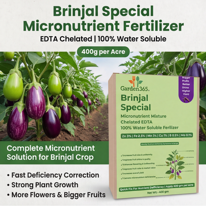 Brinjal Special Micronutrient Fertilizer  (बैंगन | ಬದನೆಕಾಯಿ | వంకాయ | கத்திரிக்காய் | വഴുതന)  EDTA Chelated 100% Water Soluble Fertilizer – 400g per Acre