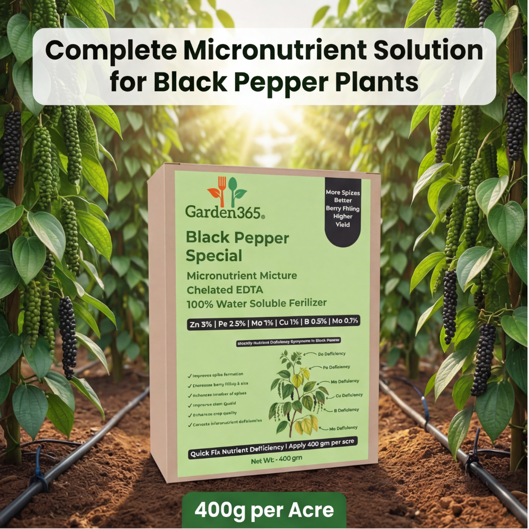 Black Pepper Special Micronutrient Fertilizer  (काली मिर्च | ಕರಿ ಮೆಣಸು | మిరియాలు | மிளகு | കുരുമുളക്)  EDTA Chelated 100% Water Soluble Fertilizer – 400g per Acre