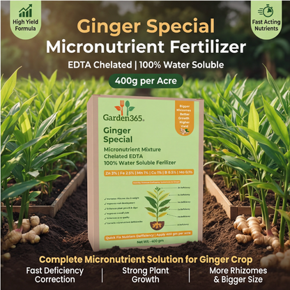 Ginger Special Micronutrient Fertilizer  (अदरक | ಶುಂಠಿ | అల్లం | இஞ்சி | ഇഞ്ചി)  EDTA Chelated 100% Water Soluble Fertilizer – 400g per Acre