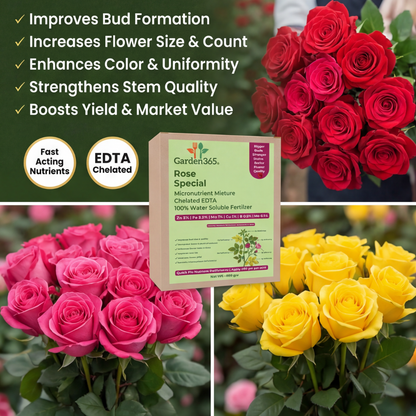 Rose Special Micronutrient Fertilizer  (गुलाब | ಗುಲಾಬಿ | గులాబీ | ரோஜா | റോസ്)  EDTA Chelated 100% Water Soluble Fertilizer – 400g per Acre