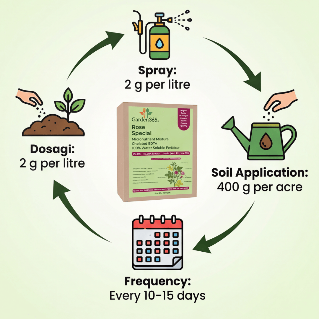 Rose Special Micronutrient Fertilizer  (गुलाब | ಗುಲಾಬಿ | గులాబీ | ரோஜா | റോസ്)  EDTA Chelated 100% Water Soluble Fertilizer – 400g per Acre