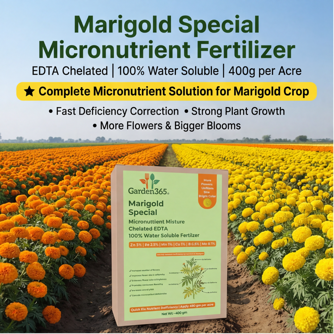 Marigold Special Micronutrient Fertilizer  (गेंदा | ಚೆಂಡು ಹೂವು | బంతిపువ్వు | சாமந்தி | ചെണ്ടുമല്ലി)  EDTA Chelated 100% Water Soluble Fertilizer – 400g per Acre