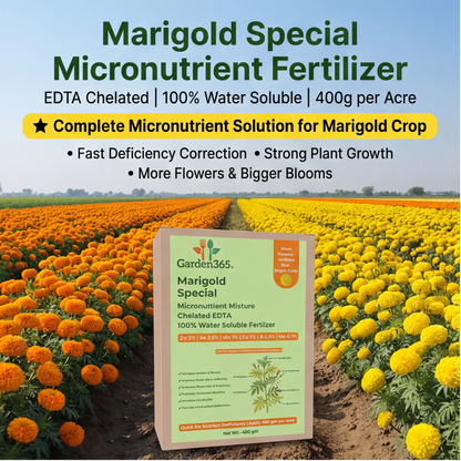 Marigold Special Micronutrient Fertilizer  (गेंदा | ಚೆಂಡು ಹೂವು | బంతిపువ్వు | சாமந்தி | ചെണ്ടുമല്ലി)  EDTA Chelated 100% Water Soluble Fertilizer – 400g per Acre