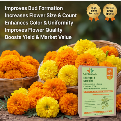 Marigold Special Micronutrient Fertilizer  (गेंदा | ಚೆಂಡು ಹೂವು | బంతిపువ్వు | சாமந்தி | ചെണ്ടുമല്ലി)  EDTA Chelated 100% Water Soluble Fertilizer – 400g per Acre